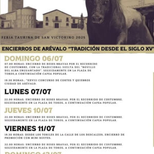 TOROS ENCIERRO AREVALO 6 Y 7 JULIO 2025