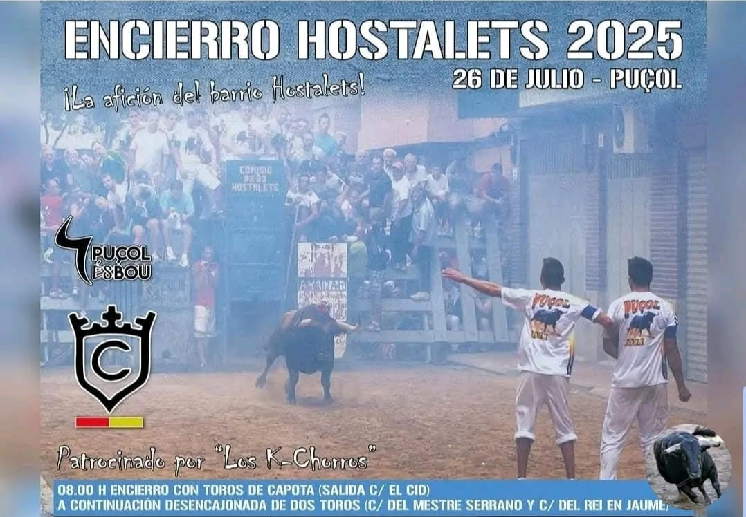 TOROS ENCIERRO HOSTALEST 26 JULIO 2025