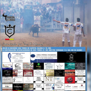TOROS-ENCIERRO-HOSTALEST-26-JULIO-2025