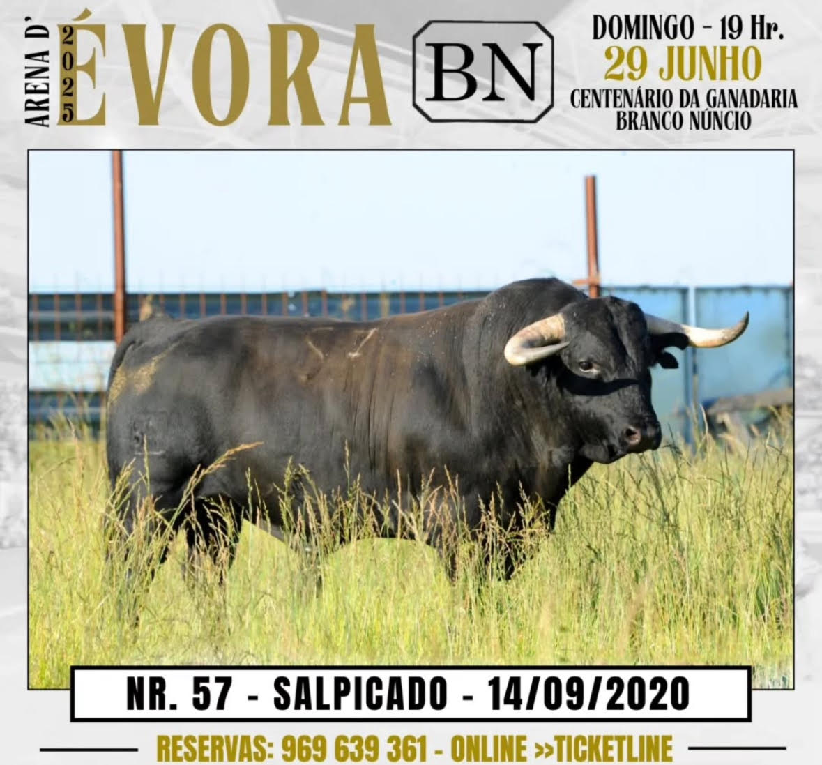 TOROS EVORA 29 JUNIO 2025