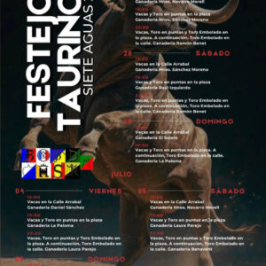 TOROS-FESTEJOS-TAURINOS-SIETE-AGUAS-45-Y-6-JULIO-2025