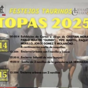 TOROS-FESTEJOS-TAURINOS-TOPAS-14-Y-15-JUNIO-2025