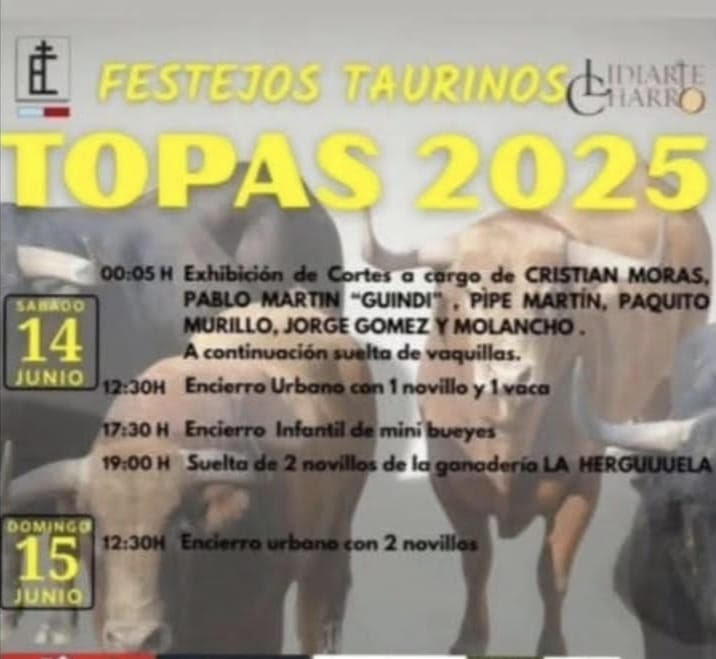 TOROS-FESTEJOS-TAURINOS-TOPAS-14-Y-15-JUNIO-2025