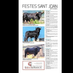TOROS FESTES SANT JOAN BETXÍ 21 JUNIO 2025
