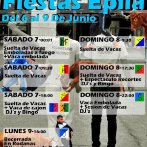 TOROS-FIESTAS-EPILA-DEL-6-AL-9-JUNIO-2025