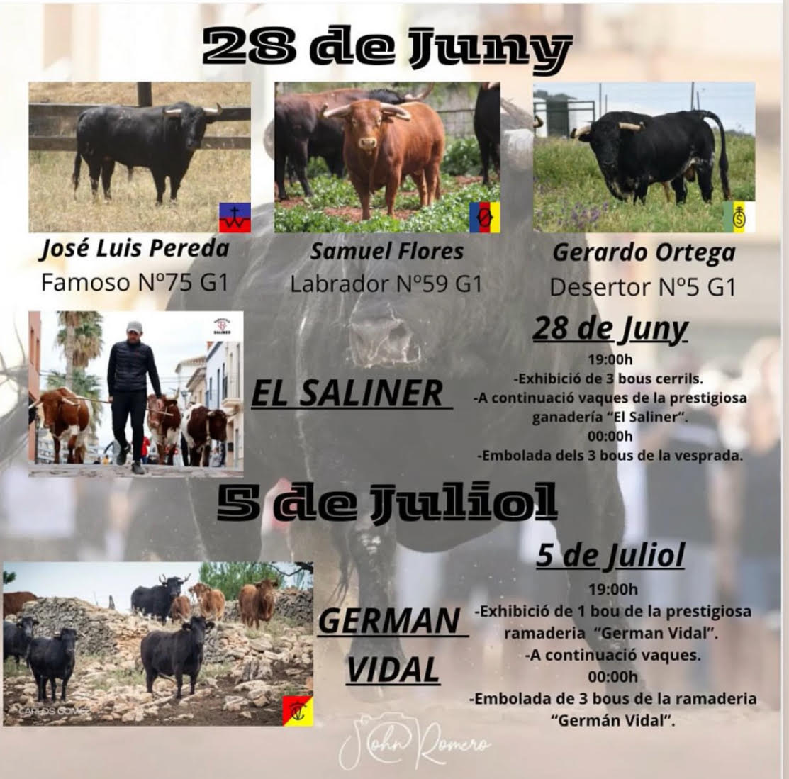 TOROS FOIOS 28 JUNIO 2025