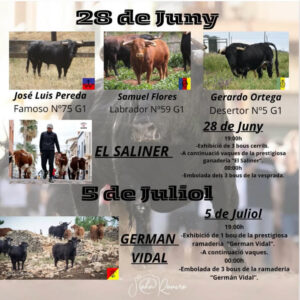 TOROS FOIOS 5 JULIO 2025