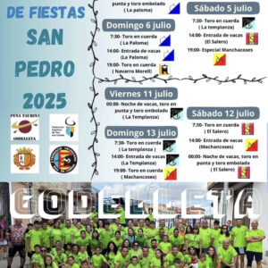 TOROS GODELLETA DEL 4 ,5 Y 6 DE JULIO 2025