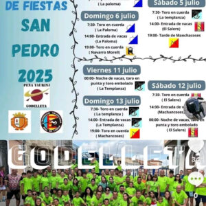 TOROS GODELLETA DEL 4 AL 6 JULIO 2025
