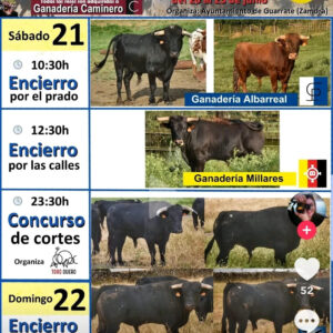 TOROS GUARRATE 21 Y 22 DE JULIO 2025