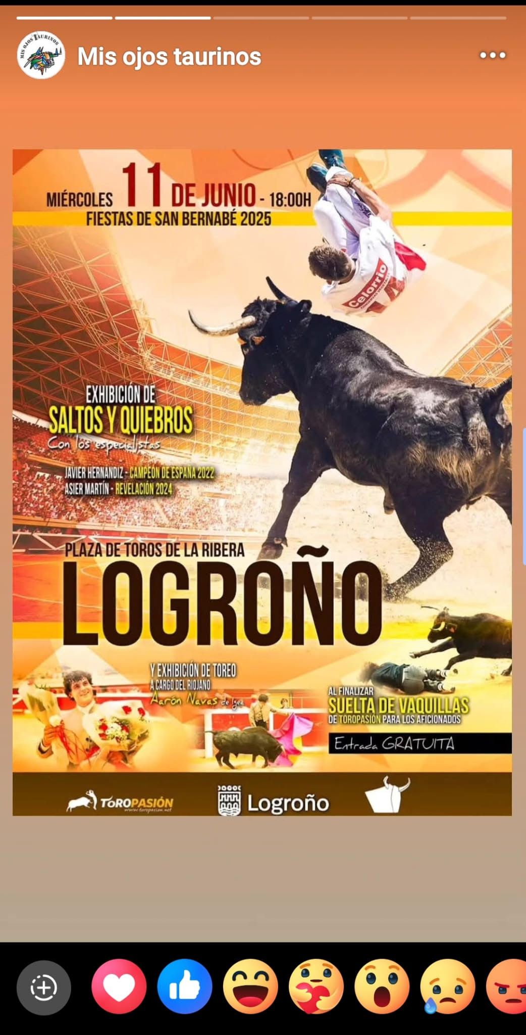 TOROS LOGROÑO 11 JUNIO 2025