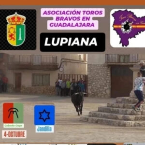 TOROS-LUPIANA-GUADALAJARA-4-OCTUBRE-2025