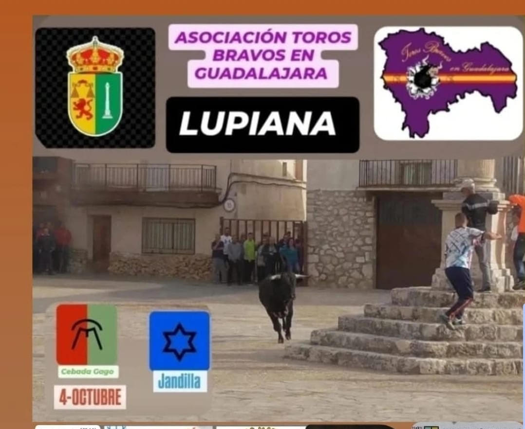 TOROS-LUPIANA-GUADALAJARA-4-OCTUBRE-2025