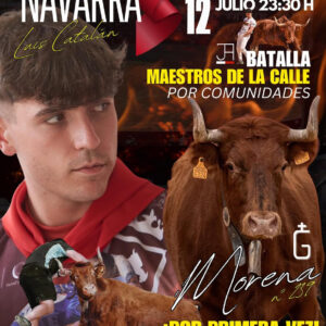 TOROS MAESTROS DE LA CALLE 12 JULIO 2025