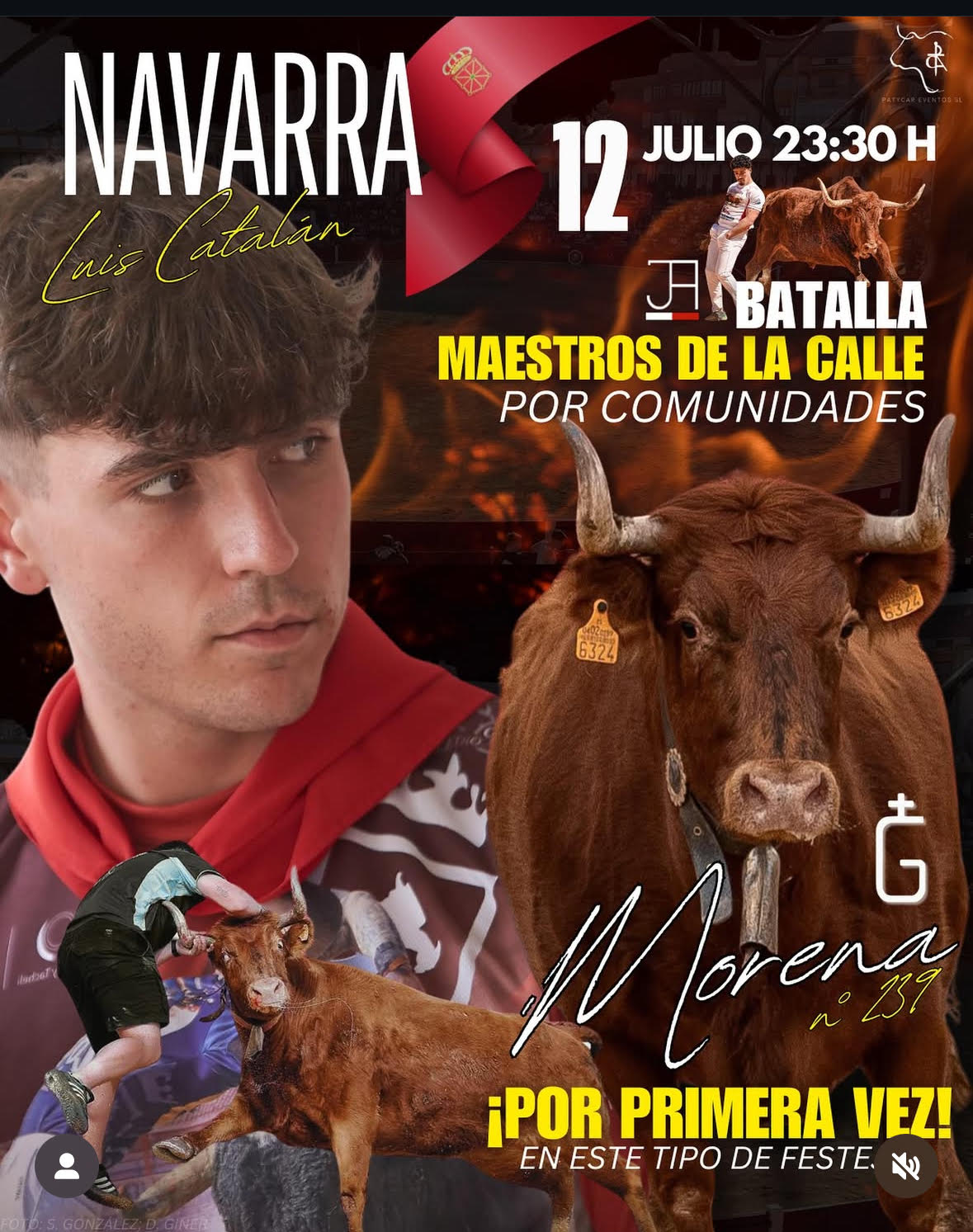 TOROS MAESTROS DE LA CALLE 12 JULIO 2025