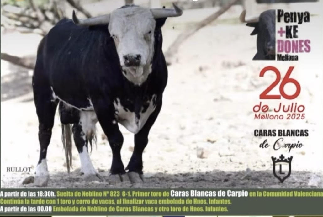 TOROS MES KE DONES 26 JULIO 2025