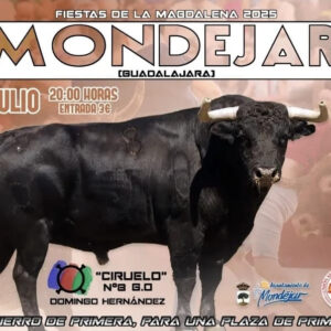 TOROS MODEJAR 19 JULIO 2025