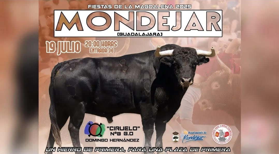 TOROS MODEJAR 19 JULIO 2025