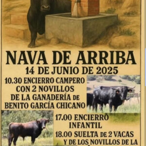 TOROS NAVA DE ARRIBA 14 JUNIO 2025
