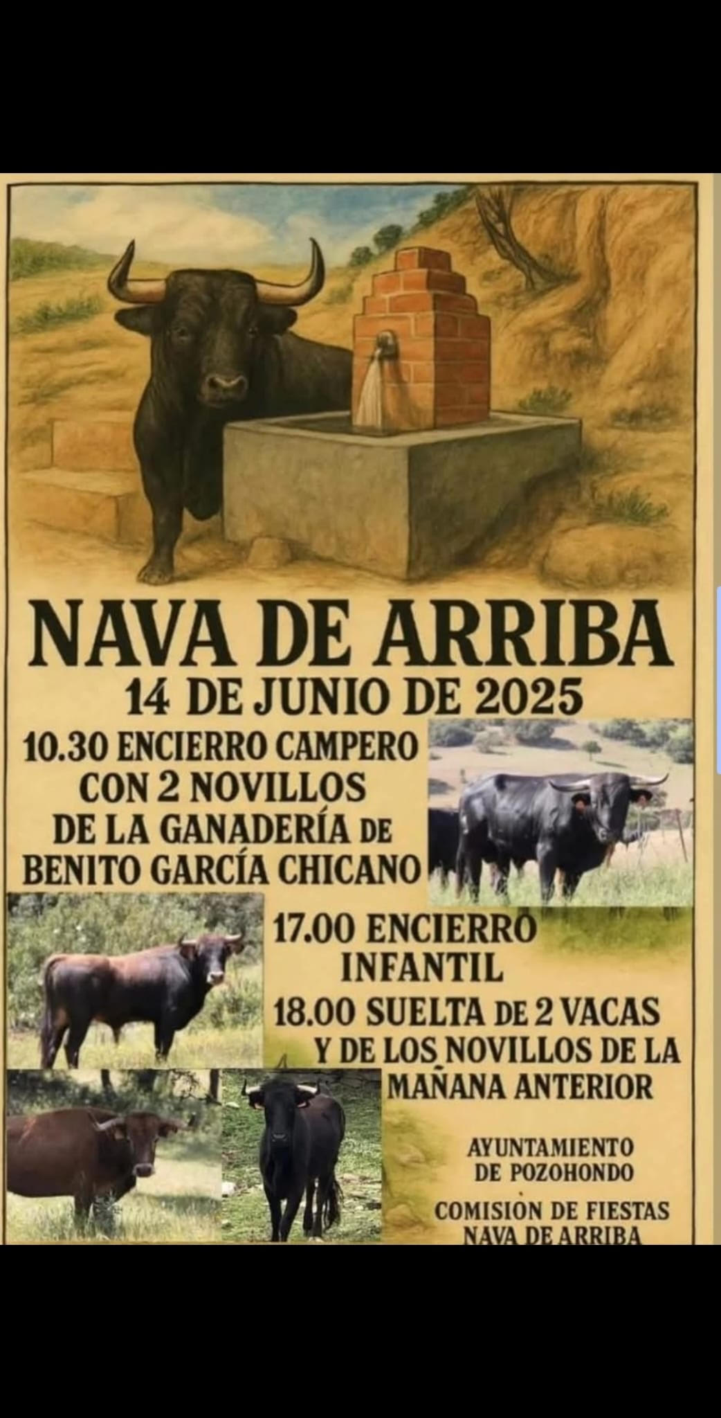 TOROS NAVA DE ARRIBA 14 JUNIO 2025