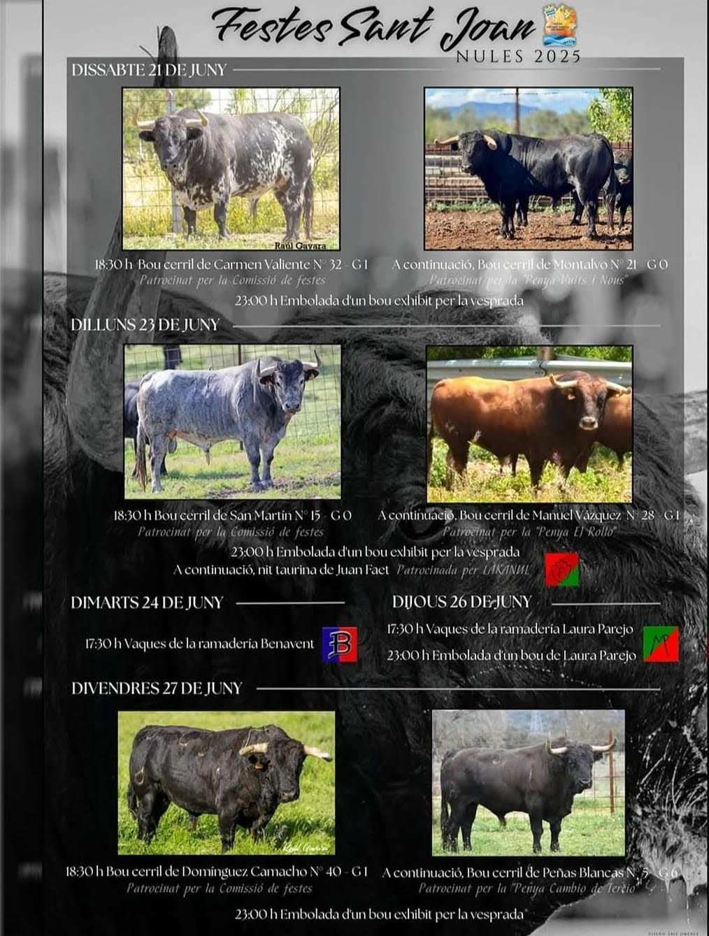 TOROS NULES 24 JUNIO 2025