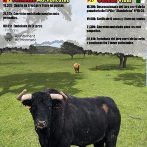 TOROS PEÑA TAURINA EL PILO 9 AGOSTO 2025