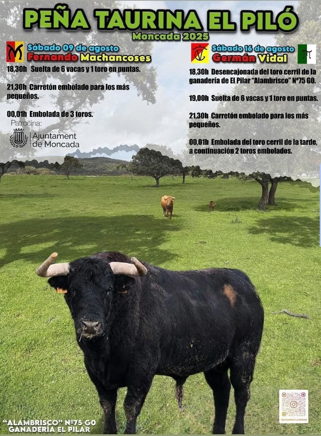TOROS PEÑA TAURINA EL PILO 9 AGOSTO 2025