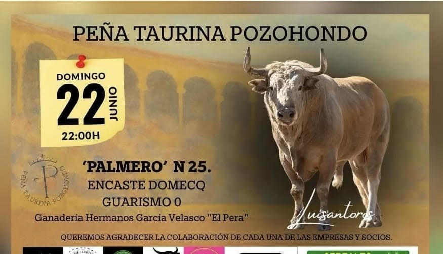 TOROS PEÑA TAURINA POZOHONDO 22 JUNIO 2025