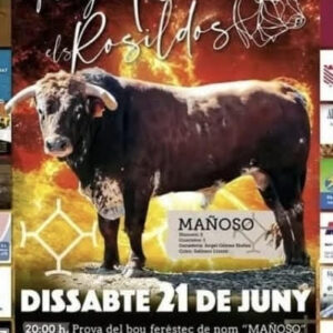 TOROS PENYA TAURINA DE ROSILDOS 21 JUNIO 2025