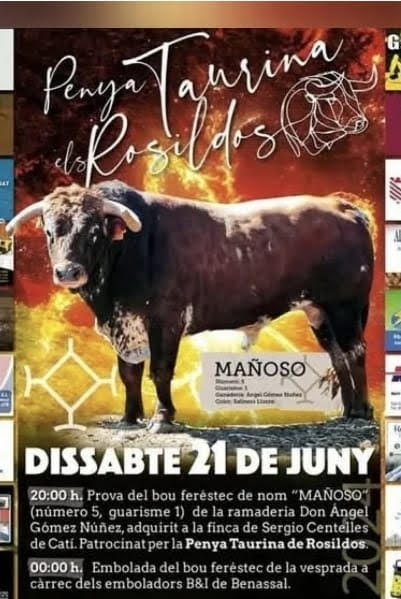 TOROS PENYA TAURINA DE ROSILDOS 21 JUNIO 2025