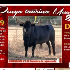 TOROS PENYA TAURINA MASSALFASSAR 26 JULIO 2025