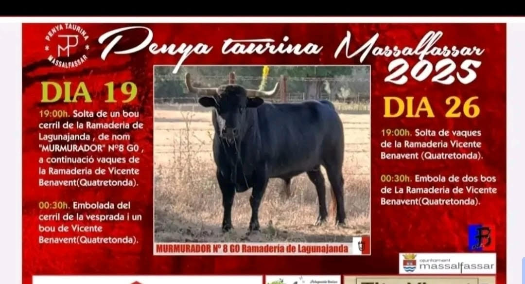 TOROS PENYA TAURINA MASSALFASSAR 26 JULIO 2025