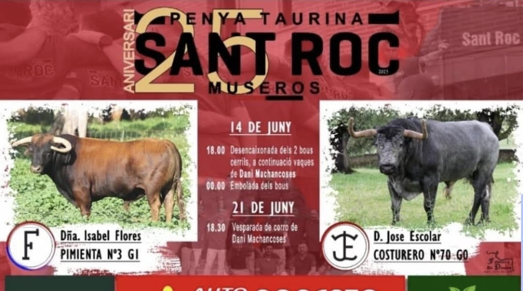 TOROS PENYA TAURINA SAN ROC MUSEROS 14 JUNIO 2025
