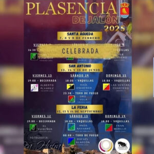 TOROS PLASENCIA DE JALÓN DEL 13 AL 15 DE JUNIO 2025