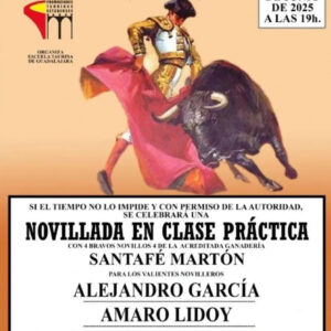 TOROS PLAZA DE TOROS CUENCA 21 JUNIO 2025
