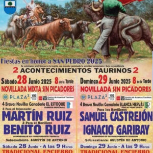 TOROS PLAZA DE TOROS ALDEA DE FRESNO 28 Y 29 JUNIO 2025