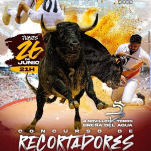 TOROS PLAZA DE TOROS BURGOS 26 JUNIO 2025