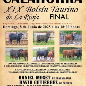 TOROS PLAZA DE TOROS CALAHORRA 8 JUNIO 2025