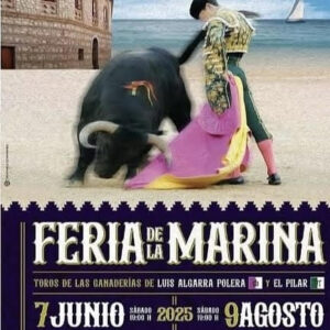 TOROS-PLAZA-DE-TOROS-ONDARA-7-JUNIO-2025.