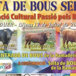 TOROS PEDREGUER 17 JULIO 2025