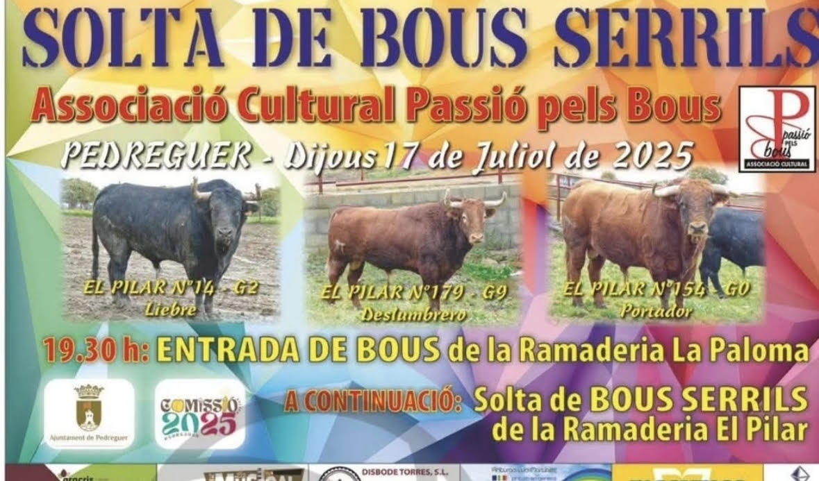 TOROS PEDREGUER 17 JULIO 2025