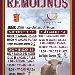 TOROS REMOLINOS DEL 13 AL 14 DE JUNIO 2025