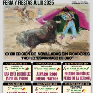 TOROS SAN ADRIAN DEL 25 AL 30 JULIO 2025