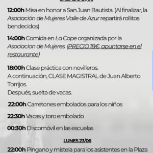 TOROS SAN JUAN ALGINIA DE ALMONACID 21 JUNIO 2025