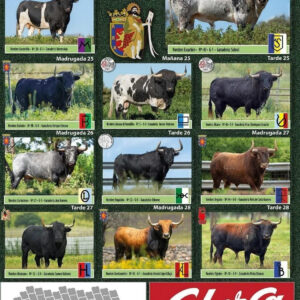 TOROS-SAN-JUAN-CORIA-DEL-23-AL-29-JUNIO-2025