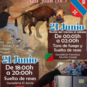 TOROS SAN JUAN PLEITAS 21 JUNIO 2025
