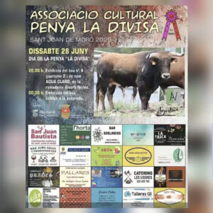 TOROS SANT JOAN DE MORO 28 JUNIO 2025