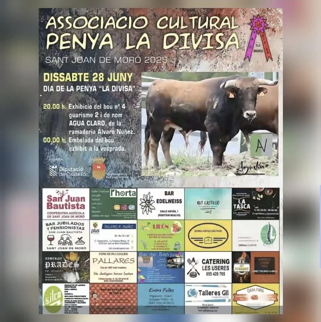 TOROS SANT JOAN DE MORO 28 JUNIO 2025