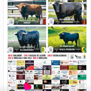 TOROS-SANT-JOAN-PUÇOL-23-JUNIO-2025