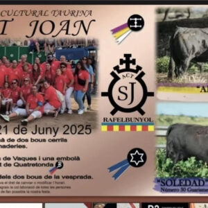 TOROS SANT JOAN RAFELBUNOL 21 JUNIO 2025